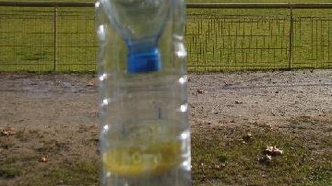 A la sortie de l'hiver, le frelon asiatique est en manque de sucre. De ce fait, le piège utilise un appât à base de sirop de cassis et de bière. Un peu de vin blanc permet d'éloigner les abeilles, pour ne pas influencer la diffusion des autres espèces d'insectes.