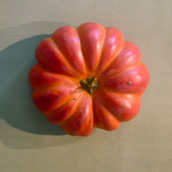 Ne pas confondre citrouille et potiron qui appartiennent à deux espèces différentes.