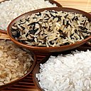 Le riz connaît différentes variétés : blanc, brun, jaune, violet, noir... chacun a des vertus différentes. Goutez-les, pour changer du Basmati !