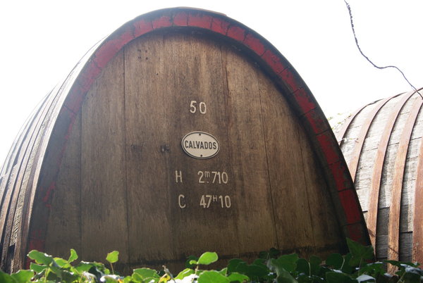 Le Calvados vieillit en fûts de chêne très sec. Au contact du bois, l'eau-de-vie se charge en tanins et prend une belle couleur, qui va du jaune à l'or.