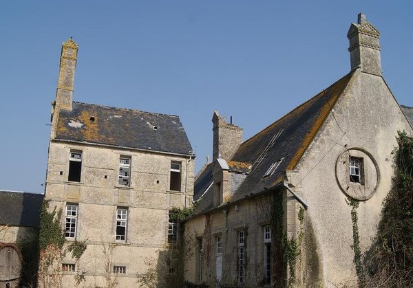 Les souches de cheminées anciennes sont plus compliquées à rénover : témoins du patrimoine architectural d'une ville, elles doivent être restaurées à l'identique.