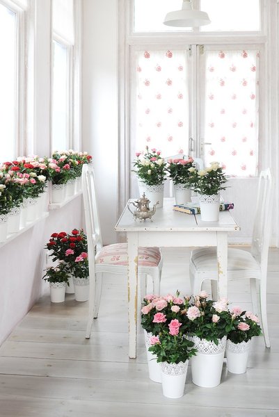 Dans la salle à manger très claire, des rosiers, aux tons rosés, participent au style rétro british de la pièce. Accommodées dans des cache-pots en fer blanc, ourlés de dentelle, les fleurs s'invitent sur la vieille table, le rebord des fenêtres, et même directement sur le parquet.