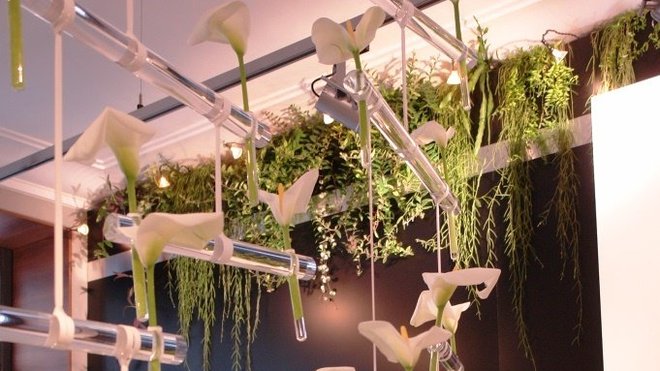 Imaginé par Alexis Tricoire, cette suspension en plexiglas est munie d’éprouvettes, qui recueillent des arums. Délicatesse et pureté se conjuguent dans cette installation au design sentimental.Suspension Alexis Tricoire Arums