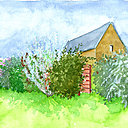 Plantes et fleurs peuvent former une agréable haie, qui évoluera au fil des saisons. Ce type d’aménagement habille avec élégance les jardins tout au long de l’année.