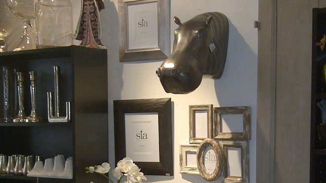 Trophées de chasse, plantes artificielles ou naturelles apportent un côté champêtre à une collection cohérente et variées. De la faïence pour les arts de la table aux cadres photos en matière naturelle, avec pour harmonie la sobriété.