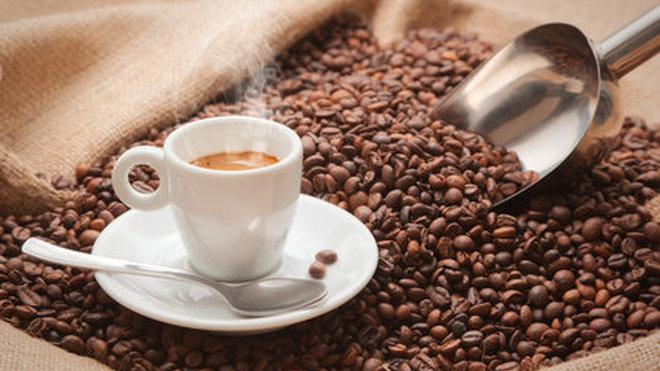 Café de plaine ou de montagne, arabica ou robusta... chaque café possède ses spécificités.