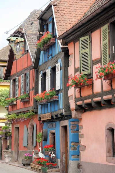 Colombages, cigognes et géraniums aux fenêtres feront votre joie à la traversée des villages alsaciens accueillants et impeccables.