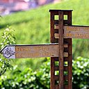 La route des vins est un très jolie façon de faire du tourisme.