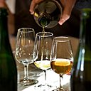 Séance de dégustation au Pays d'Auge.