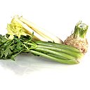 Céleri-branche cru en salade ou à l'apéro, céleri-rave en rémoulade ou en gratin... un vrai légume à redécouvrir d'urgence.