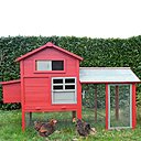 Ce poulailler, modèle Miranda chez Poulailler design, possède un grillage en acier galvanisé, et se ferme par une porte à 2 loquets﻿. La toiture en bois plein est recouverte d'un feutre bitumeux.
Nettoyage super facile grâce à ses nombreux aménagements.