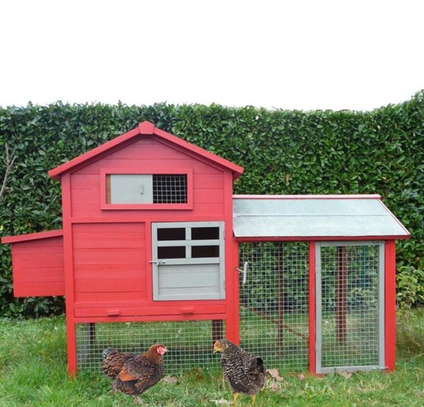 Ce poulailler, modèle Miranda chez Poulailler design, possède un grillage en acier galvanisé, et se ferme par une porte à 2 loquets﻿. La toiture en bois plein est recouverte d'un feutre bitumeux.
Nettoyage super facile grâce à ses nombreux aménagements.