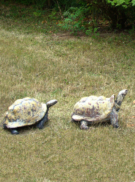 Sculpteur animalier, Joanna Hair aime donner vie à une multitude de petites tortues faites de raku.