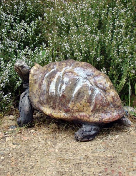 La tortue Miel Joanna Hair, plus vraie que nature...