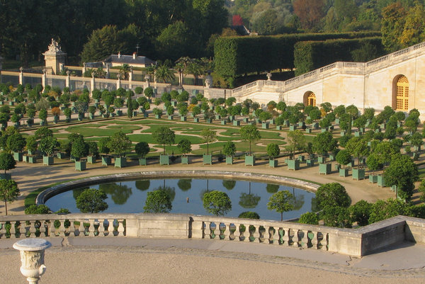 Caisses d'orangers pour l'Orangerie du Château de Versailles, Jardins du Roi Soleil.