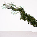 Pour le concours de l'innovation, dans le village du design extérieur, Emilie Coli Garros a présenté son treillis "Ariane".