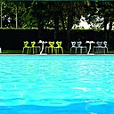 Comme des feuilles parfaitement dessinées, des chaises en polypropylène. L 50,5 x 50 x H 80 cm. 107,50 €. Chaise Area 51. Calligaris.