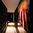 De l’entrée, un long mur habillé de photos de défilé Victoria’s Secret signées Gavin Bond conduit à la salle de sport.