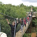 Un pont de singe surplombe l'abîme tandis qu'une canopée perchée à150 mètres de haut permet d'écouter la forêt respirer, chanter, transpirer.
