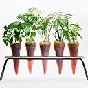 Alors que les soliflores ne cessent de se ressembler, Lilas Force propose de jouer avec le verre, pour représenter une carotte. Avec la maîtrise d’une souffleuse de verre, elle réalise des œuvres plus vraies que nature.