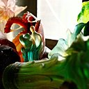 Avec les collections Florales, la pâte de verre apporte des nuances de couleurs, où la transparence permet des jeux de lumières. Inspirées par la nature, les œuvres possèdent une délicatesse dans leurs formes.
