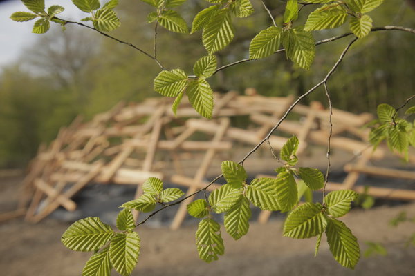« Le jardin des nuées qui s’attardent », création du paysagiste chinois Shu Wang, qui vient de recevoir le Prix Pritzker d’architecture réalisée dans les près du Gualoup. Cette structure complexe, faite d’un entrecroisement de bois de pin, à la manière d’un nid d’oiseau, se recouvrira bientôt de vigne vierge.