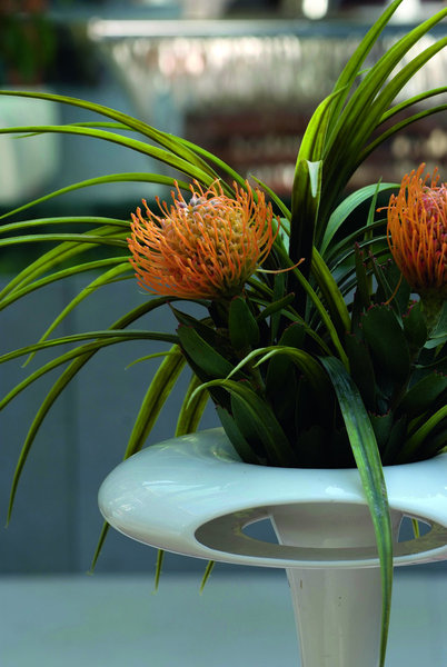 Les fleurs et les plantes sont les pinceaux de David Bitton.