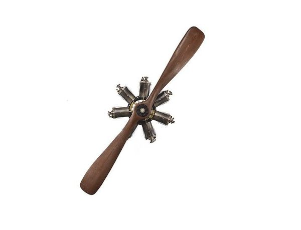 Avant de se lancer dans l’automobile, Peugeot connaît un franc succès dans le développement des moyens de transports comme le vélo, le naval ou l’aéronautique, à l’instar de ce moteur d’avion.