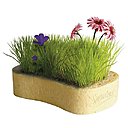 L’éponge « Assoiffée » joue sur le pouvoir de l’absorption, à tel point qu’on pourrait y cultiver un jardin. Dès un contact avec un liquide, elle l’absorbe jusqu’à 20 fois son poids à sec.