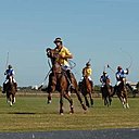 Deux équipes de quatre cavaliers s’affrontent dans une partie de polo, l’un des plus anciens sports au monde qui trouve son origine en 2 500 av. J.-C., en Mésopotamie durant l’époque babylonienne.
