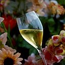 Dégustation des meilleurs champagnes de la région lors d'un parcours initiatique à thème : l’œnotourisme.