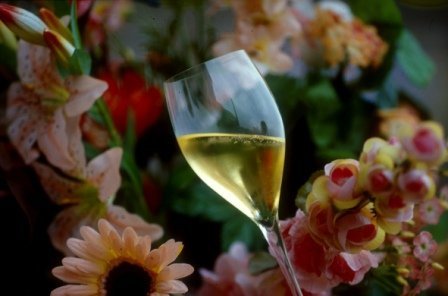 Dégustation des meilleurs champagnes de la région lors d'un parcours initiatique à thème : l’œnotourisme.