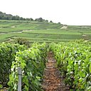 L’œnoPass créé par la Champagne Ardenne permet de découvrir 10 lieux uniques dans d'excellentes conditions.