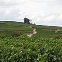 L'occasion d'une belle promenade touristique et visite de caves et souvent une dégustation d’une coupe de champagne !