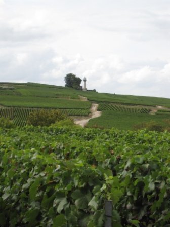 L'occasion d'une belle promenade touristique et visite de caves et souvent une dégustation d’une coupe de champagne !