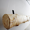 Tronc d'arbre débarrassé de son écorce pour une station d’accueil pour iPhone ou Ipod version nature. Design Trenner & Friedl et Tischlerei Lenztischlerei-lenz.at  pour Studio project.