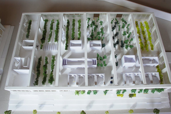 Les jardins partagés au service des défavorisés ou comment des individus peuvent se réinsérer en s’occupant de jardins?