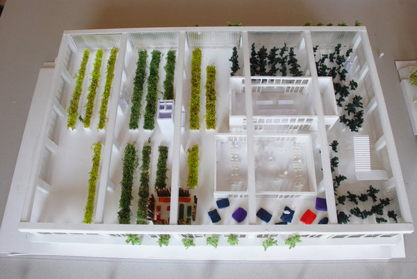 Les semis sont cultivés dans les potagers intérieurs cloisonnés.