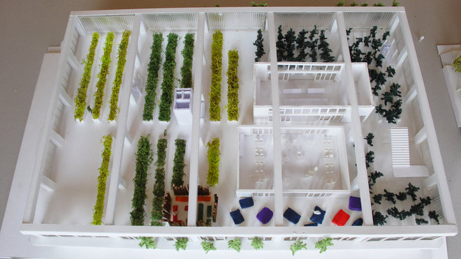 Les semis sont cultivés dans les potagers intérieurs cloisonnés.