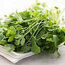 Herbe aromatique ou épice, la coriandre s’amuse à apporter de la fraîcheur aux préparations culinaires, sur le thème de la variation. Alors que les fruits séchés donnent un parfum proche du zeste d’orange, les feuilles se font plus anisées.