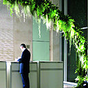 Installation d’une arche végétale à l’accueil de la Macif à la Défense, Paris