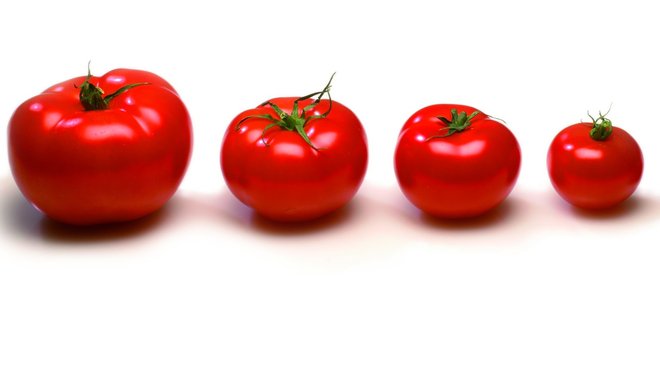 Plus de 430 variétés de tomates sont inscrites dans le catalogue français sur 2 600 variétés inscrites dans le catalogue européen.