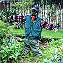 Epouvantail du potager du jardin des plantes à Paris