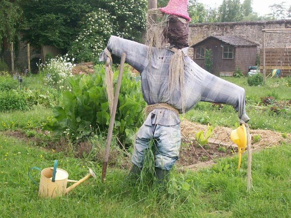 Epouvantail du potager de la ferme de Gally.