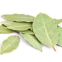 Originaire du bassin méditerranéen, le laurier-sauce est une véritable évocation de la Provence par l’odeur et le goût de son huile essentielle, lorsque ses feuilles sont froissées entre les doigts.