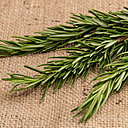 Mythes et légendes pullulent sur les pouvoirs extraordinaires du romarin, mais c’est surtout en cuisine que ses notes aromatiques font des merveilles, en distillant un délicieux goût de Provence.