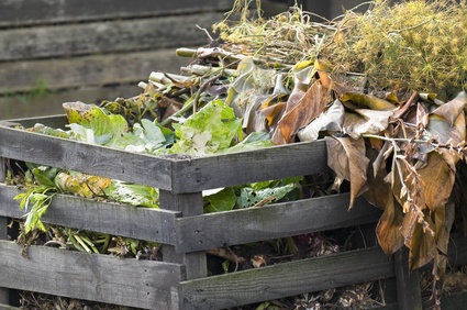 Parfait pour rendre son jardin écologique, le bac à compost se construit en un rien de temps et avec un minimum de matériel. Après quelques temps, vos déchets se transformeront en un engrais naturel pour vos plantations.