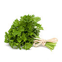 Qu’il soit à feuilles frisées ou à feuilles plates, le persil est indissociable de la gastronomie française, même s’il se retrouve dans les cuisines du monde où ses notes aromatiques s’accompagnent de vertus curatives.