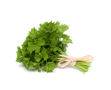 Qu’il soit à feuilles frisées ou à feuilles plates, le persil est indissociable de la gastronomie française, même s’il se retrouve dans les cuisines du monde où ses notes aromatiques s’accompagnent de vertus curatives.