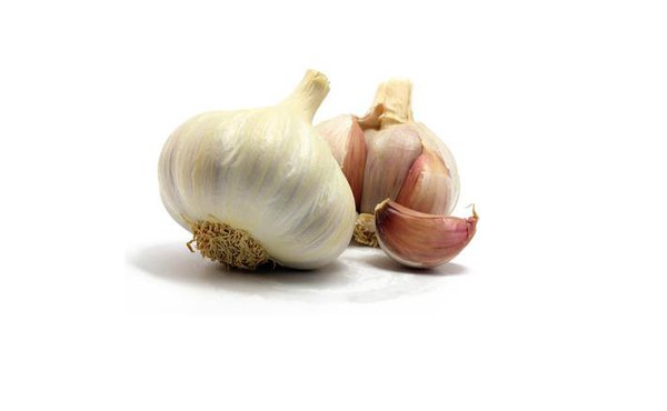 A utiliser avec parcimonie, l’ail possède un goût unique d’une grande complexité, ce qui le rend indispensable dans l’univers culinaire. Une simple gousse permet de transformer les mets grâce à la puissance de ses arômes.